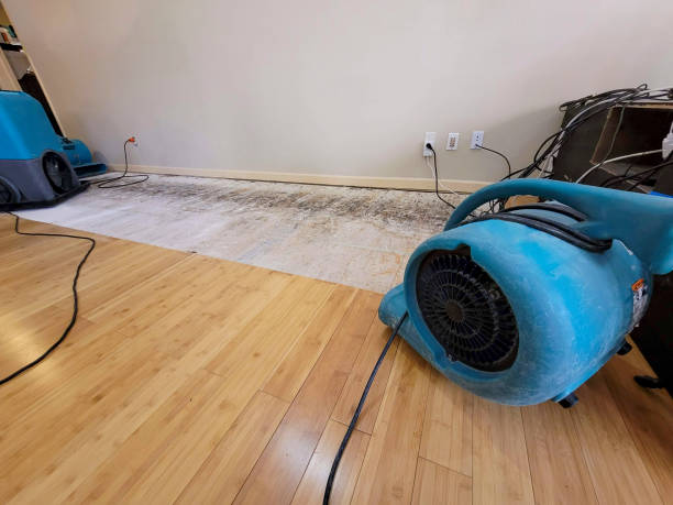Professional Structural Drying technician working in Conway, NH
